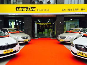 全球轿车行业动态与汽车租赁市场的协同发展